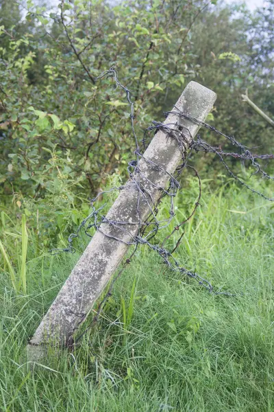 Stok met prikkeldraad — Stockfoto