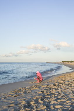 Baltık Denizi beach