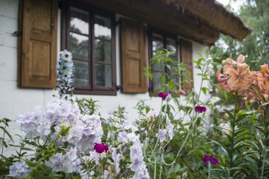 Bahçedeki çiçekler