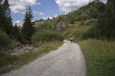 Pieniny Dağları