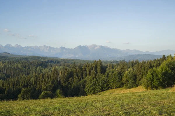 Panorama de las montañas de Tatra —  Fotos de Stock