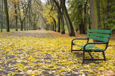 Şehir parkında sonbahar