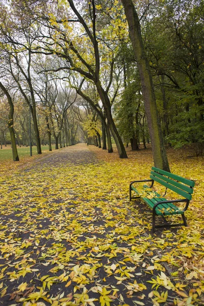 Şehir parkında sonbahar — Stok fotoğraf