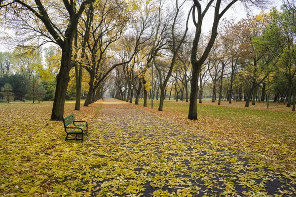 Şehir parkında sonbahar — Stok fotoğraf