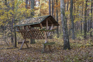 karaca besleyici sonbahar manzarası