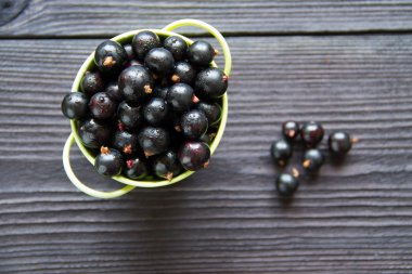 kase taze tatlı blackcurrants