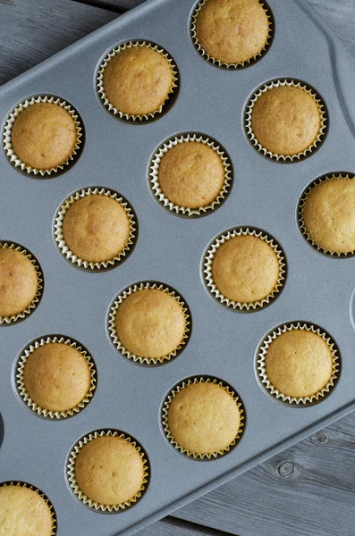 Vanilj muffins — Stockfoto