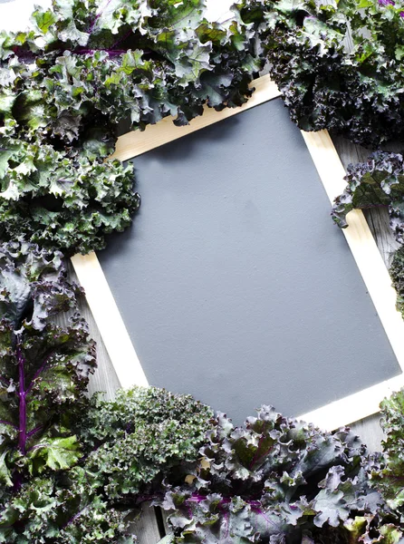 Black chalkboard with organic red kale ストックフォト