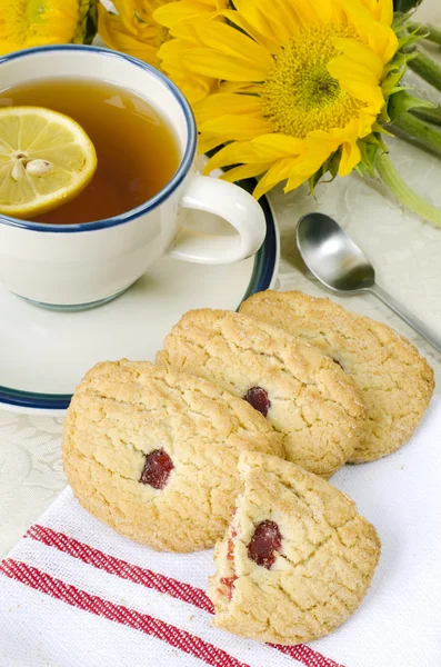 Galletas de azúcar — Foto de Stock