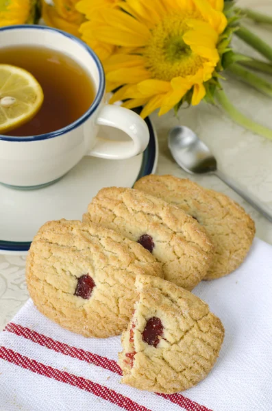 Sugar cookies — Stock Photo, Image