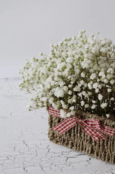 Flores en una cesta — Foto de Stock