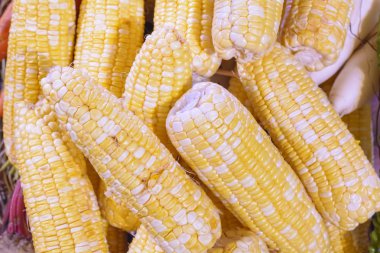 Mısır yığınları