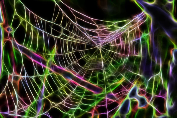 추상 거미줄 — 스톡 사진