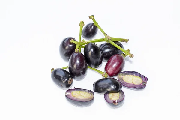 Plum Jambol — Stok Foto