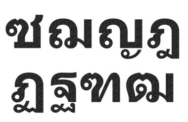 Tay karakter siyah matris desen