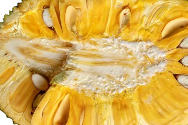 Beyaz çekirdekli sarı et ve tohum dokusunu gösteren çiğ bir meyvenin kesit görünümünü kapat.