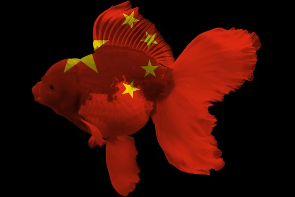 Флаг Китая по золотым рыбкам — стоковое фото