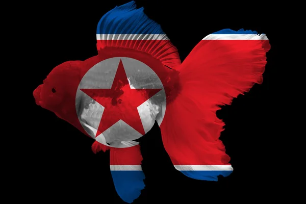 Bandeira da Coreia do Norte em peixinhos dourados — Fotografia de Stock