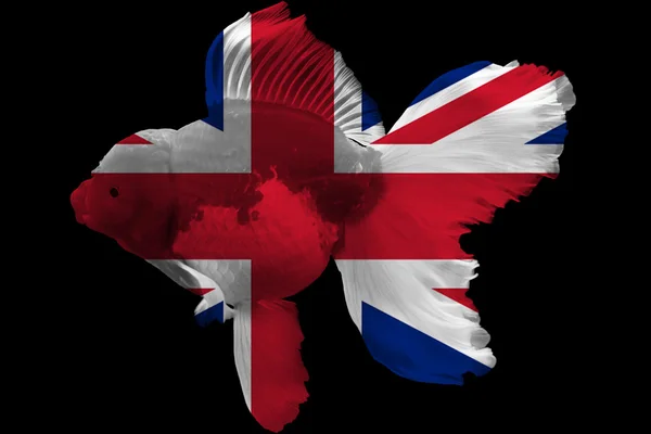 Σημαία του Ηνωμένου Βασιλείου για το χρυσόψαρο — Φωτογραφία Αρχείου