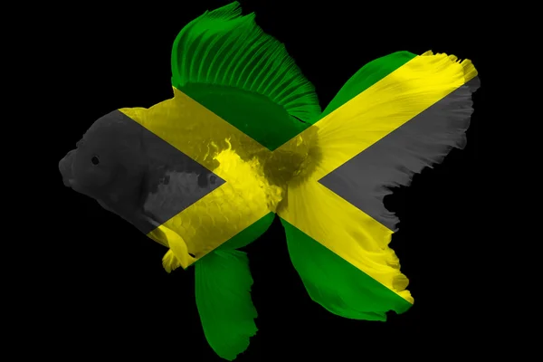 Flagga för Jamaica på guldfisk — Stockfoto