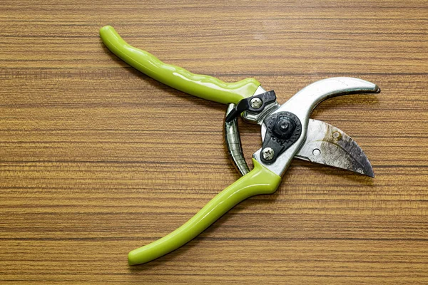 Old pliers gardening tool — Stock Photo, Image