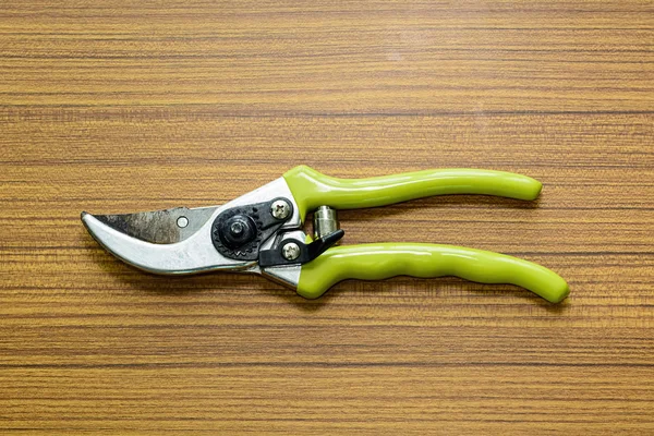 Old pliers gardening tool — Stock Photo, Image