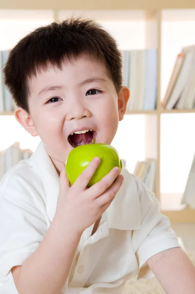 Konzept der gesunden Ernährung — Stockfoto