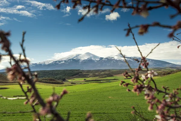 In the background the peak of Moncayo natural park III — Stock Photo, Image