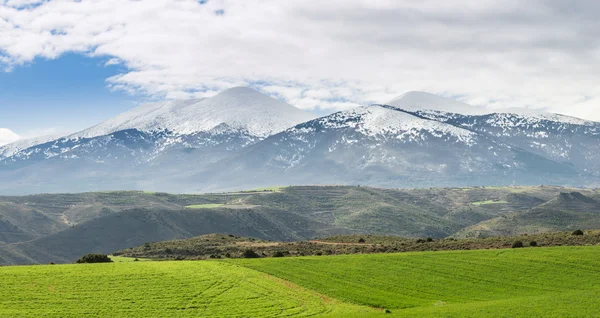 In the background the peak of Moncayo natural park — Stock Photo, Image