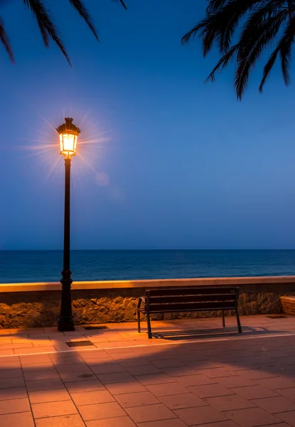 Contemplando el mar — Foto de Stock