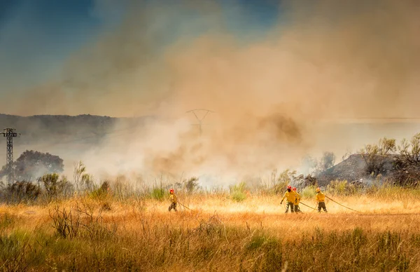 İtfaiyeciler yangınla mücadele. — Stok fotoğraf