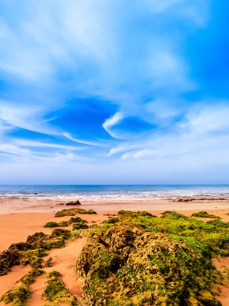 Algarveküste — Stockfoto