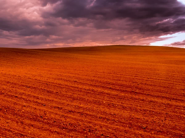 Campo de cultivo e céu tempestuoso — Fotografia de Stock