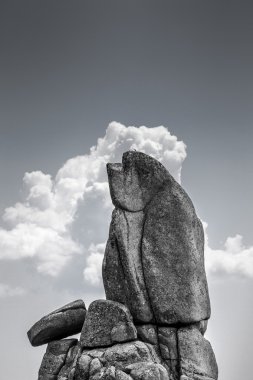 Sierra de Guadarrama Milli Parkı