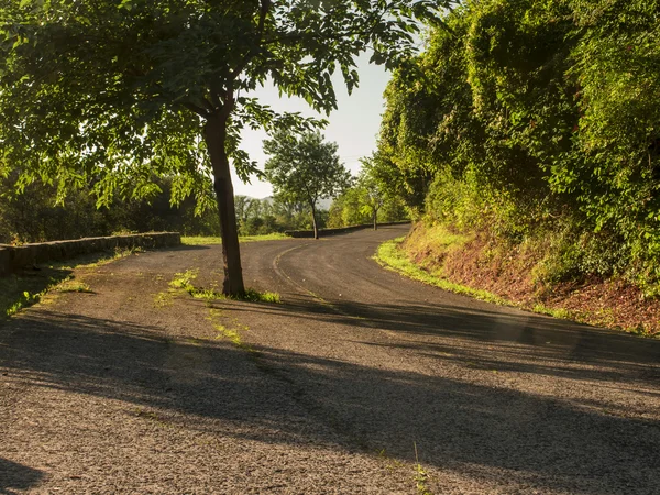 Nieuwsgierig weg Ii — Stockfoto