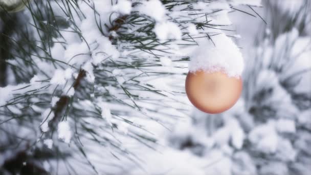 Weihnachtsschmuck hängt an einem schneebedeckten Weihnachtsbaum — Stockvideo