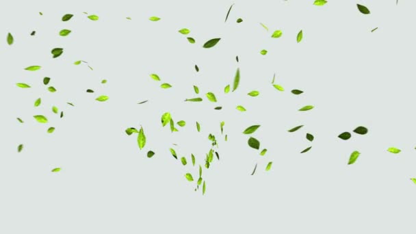 Зеленые деньги, валютный знак, сделанный из листьев ) — стоковое видео