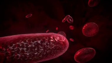 Kan hücreleri. İnsan kardiyovasküler sistem, Fütüristik tıbbi uygulama.