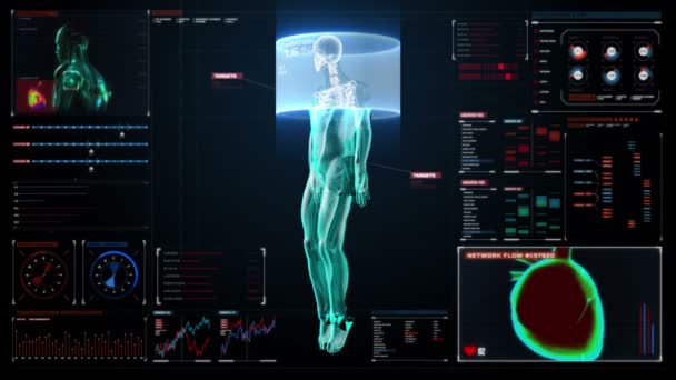 Sistema vascular y esquelético humano dentro de la exploración Cuerpo humano en pantalla médica digital. interfaz de usuario . — Vídeo de stock