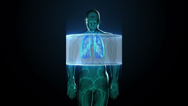 Corpo de escaneamento. Pulmões humanos rotativos, diagnósticos pulmonares, luz de raios X azul . — Vídeo de Stock
