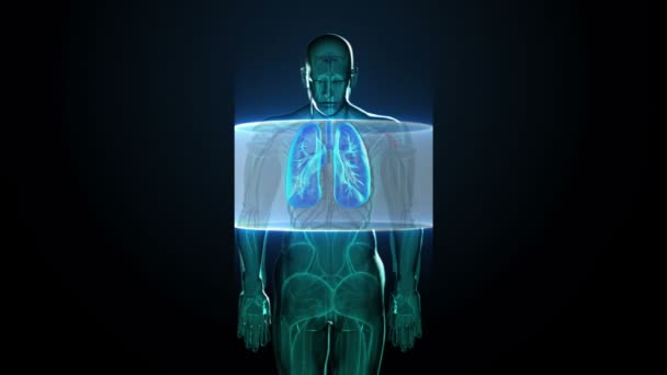 Escaneando el cuerpo. Pulmones humanos rotatorios, Diagnósticos pulmonares, Luz azul de rayos X . — Vídeos de Stock