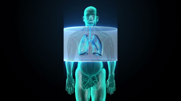 Corpo de escaneamento. Pulmões humanos rotativos, diagnósticos pulmonares, luz de raios X azul . — Vídeo de Stock