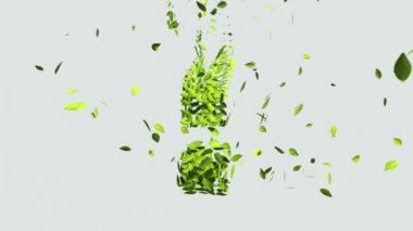 Yeşil soru işareti yapraklarından yapılmış. (Dahil Alfa)