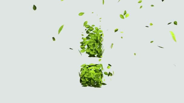 Grünes Ausrufezeichen aus Blättern. (enthaltenes Alpha) — Stockvideo