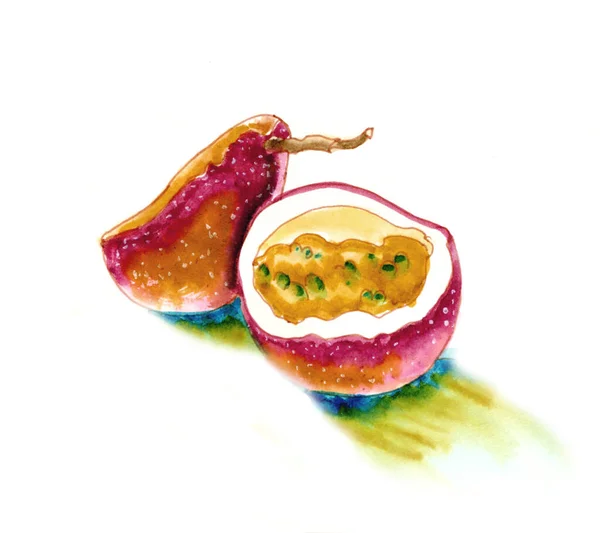 Passion fruit watercolour illustration in sketch stile for your design — Stock Photo, Image
