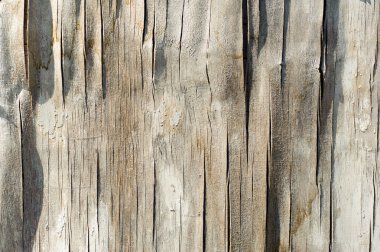 Eski ahşap doku, eski yıpranmış kaba dokulu. eski kontrplak arka plan