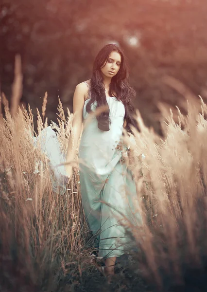 Mulher bonita e romântica em conto de fadas, ninfa de madeira entre grama alta e raios de luz. Ao ar livre Imagem De Stock