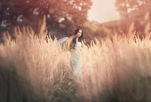 Mulher bonita e romântica em conto de fadas, ninfa de madeira entre grama alta e raios de sol. Ao ar livre Imagem De Stock