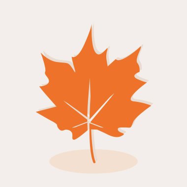 Turuncu sonbahar akçaağaç yaprağı vektör çizimi ve simgesi. 