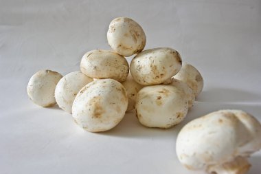 yemek mantarı beyaz renk güzel